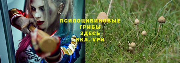 стаф Приозерск